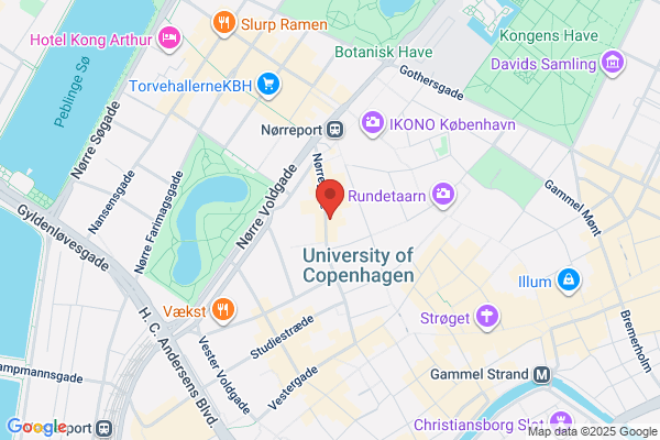 David K Storer