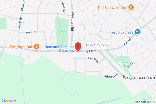 Nuneaton Reptiles & Exotics