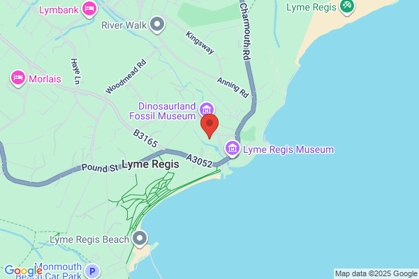 Lyme Coast Holidays