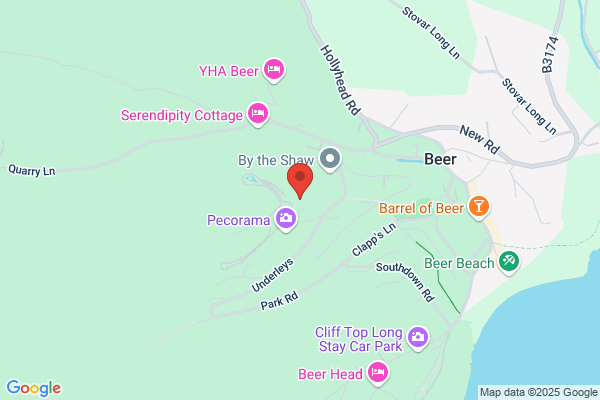 Puffins At Beer Pre-school