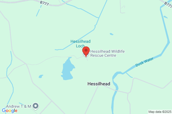 Hessilhead Wildlife Rescue Centre