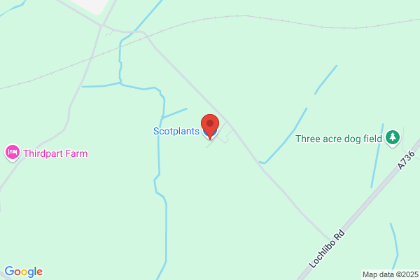 Scotplants Ltd
