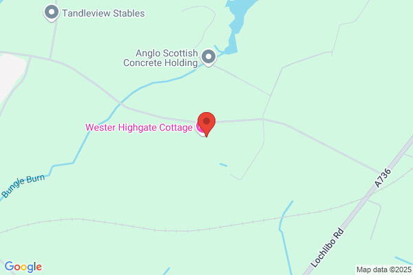 Wester Highgate Cattery