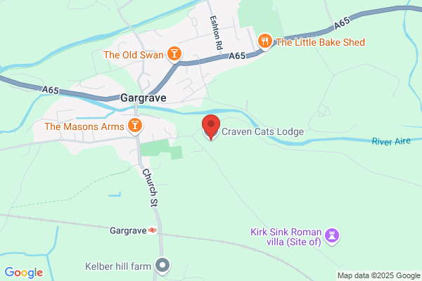 Craven Cats Lodge