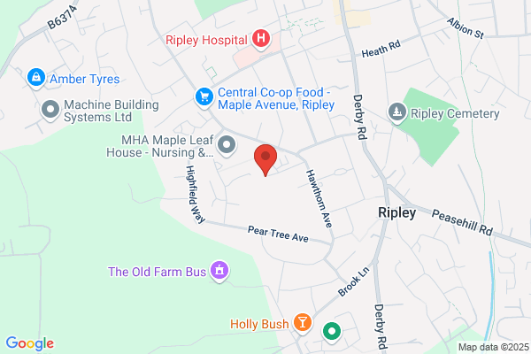 Ripley Junior School
