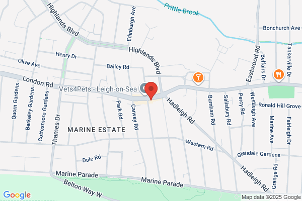 Barber Shop
