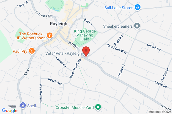 Vets4Pets - Rayleigh