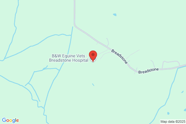 B&W Equine Vets - Breadstone Hospital