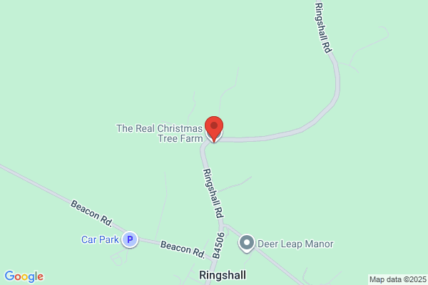 Real Christmas Tree Farm