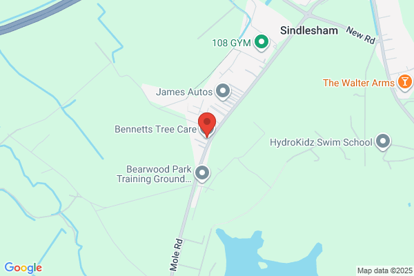 bennetts tree care ltd