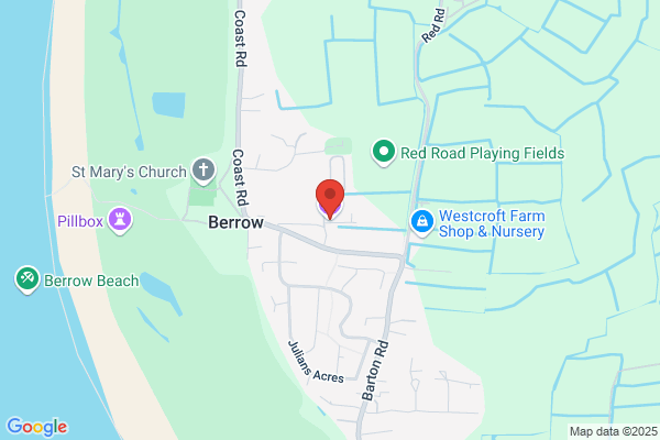 Thizledo Vine