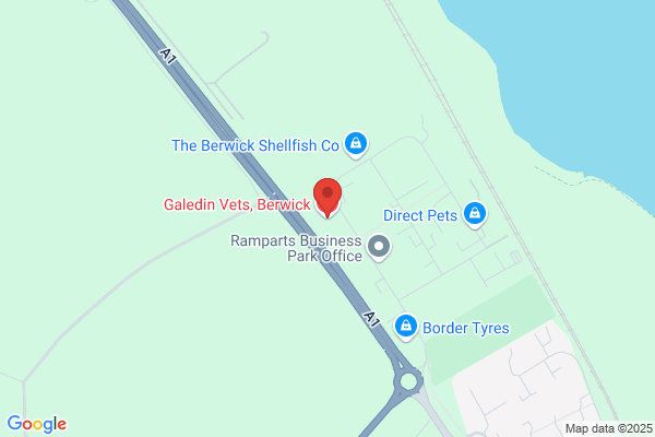 Galedin Vets, Berwick
