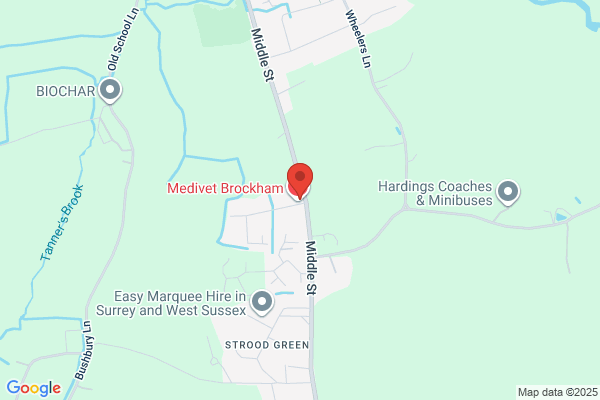 Medivet