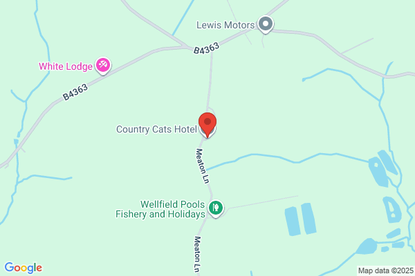 Country Cats Hotel