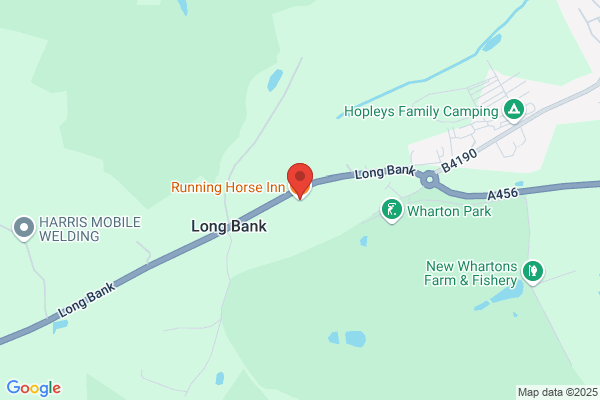 The Running Horse