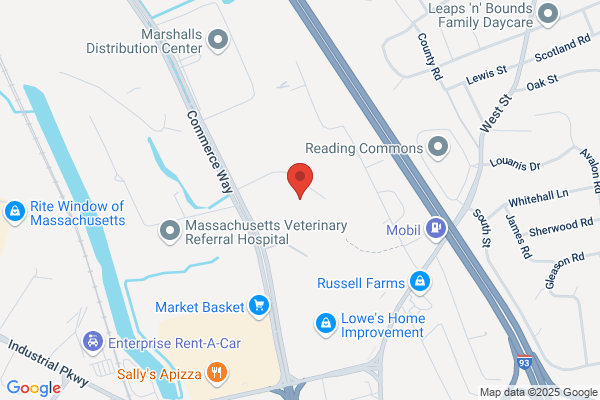Applied Management (AML) Ltd