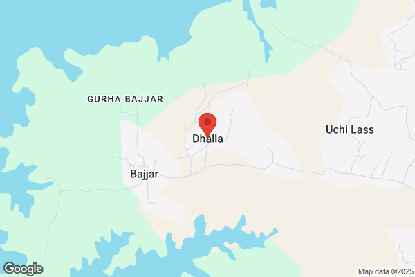 Z A Dhalla