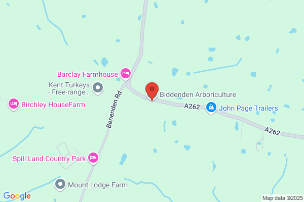 Biddenden Tree Surgeon