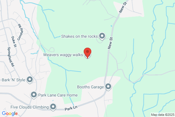 weaverswaggywalks