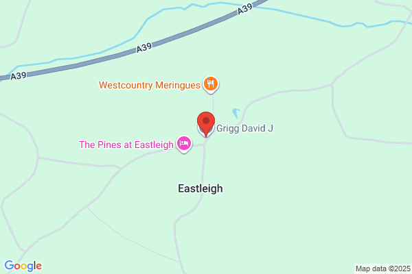 E J Grigg
