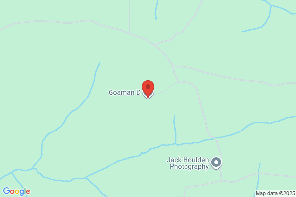 D W Goaman