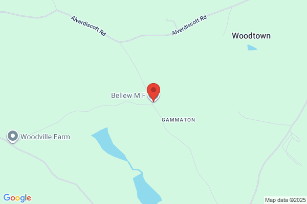 M F Bellew