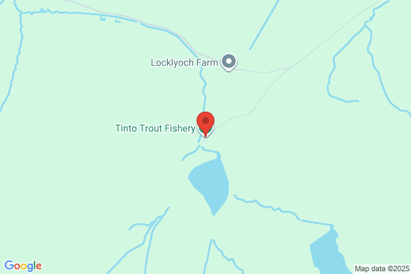Tinto Trout Fisheries