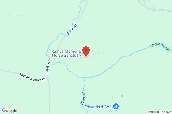Remus Memorial Horse Sanctuary