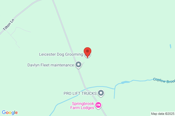 Leicester Dog Grooming Courses