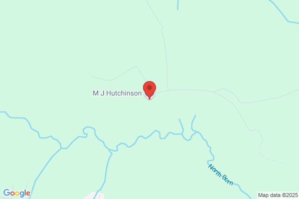 Hutchinsons
