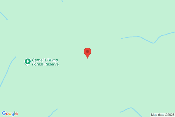 The Camel's Hump