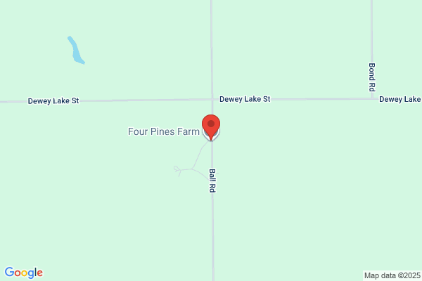 Four Pines Developments