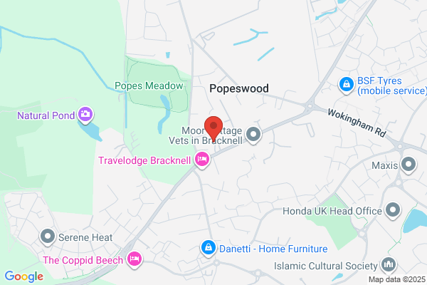Popeswood Garage