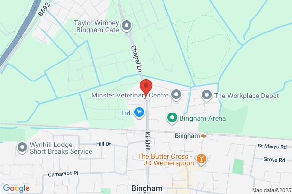 David Wilson Homes - Romans' Quarter