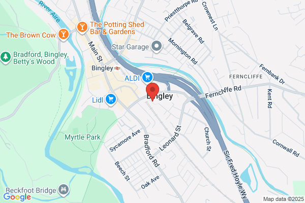 Bingley Action