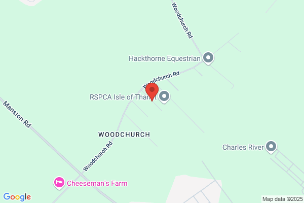 Queensdown Equestrian Centre