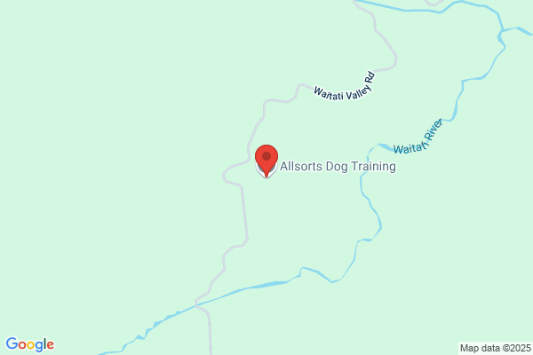 Allsorts Dog Training Club