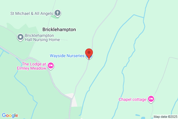Wayside Nurseries