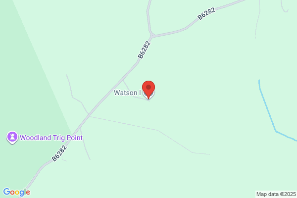 I Watson