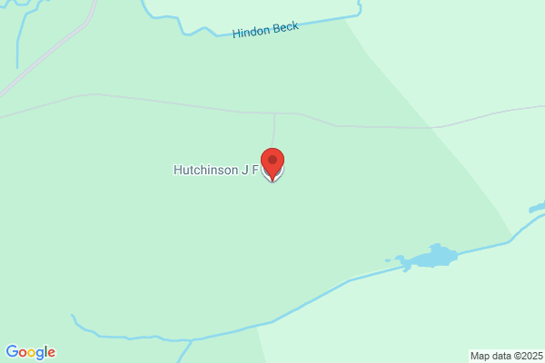 J F Hutchinson