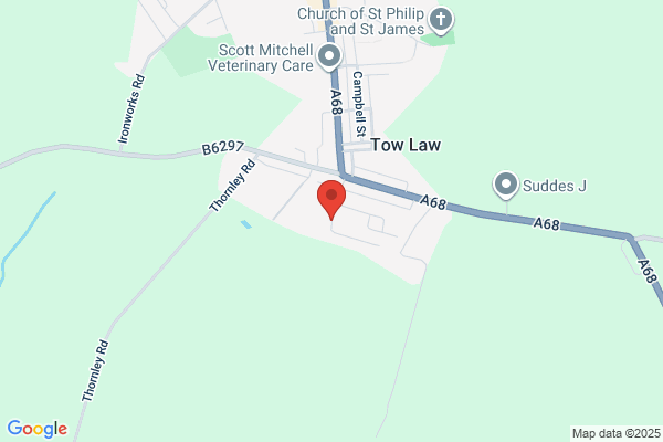 Tow Law Millennium Primary School