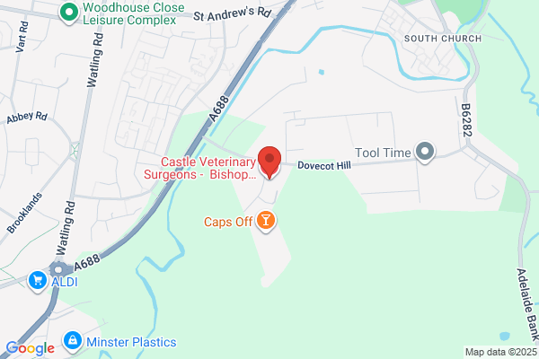 Castle Veterinary Surgeons - Bishop Auckland