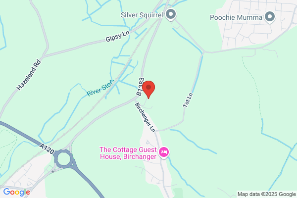 Psychology Specialists