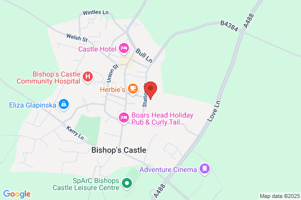 Bishops Castle Library