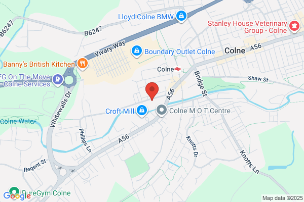 Hyndburn Stray Dogs In Need