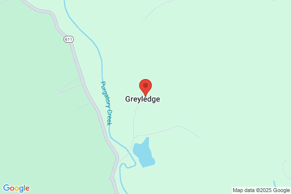 Greylag