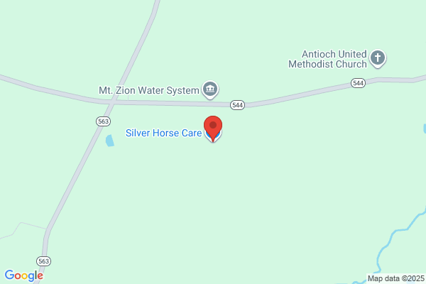 Silver Horse Consultants