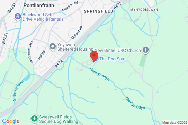 The Dog Spa Ltd