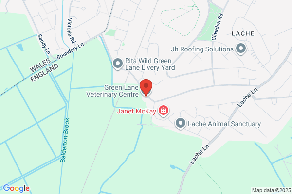 Green Lane Veterinary Centre