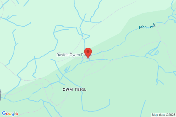 Owen P Davies